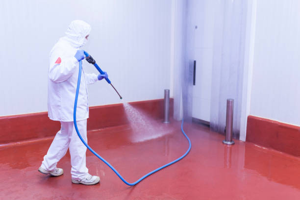 Reliable Orlinda, TN Pressure Washing Services Solutions